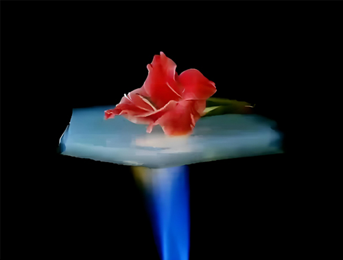 把握“十五五”節(jié)能新機(jī)遇：鼎業(yè)集團(tuán)攜無(wú)機(jī)阻熱材料，邀工業(yè)伙伴共赴節(jié)能降碳新賽道